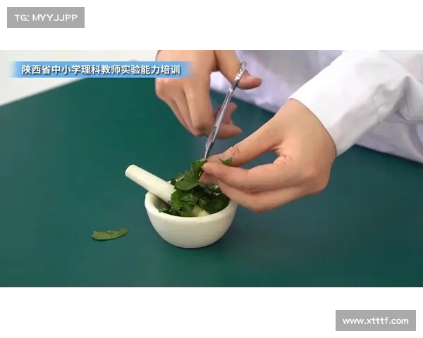 如何通过科学方法高效提取精炼石中的盐分并提高提取率 如何通过科学方法高效提取精炼石中的盐分并提高提取率