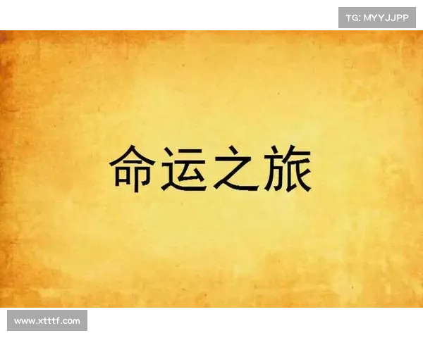 《菈妮命运之旅中的时空交错与因果循环对未来的深刻影响》
