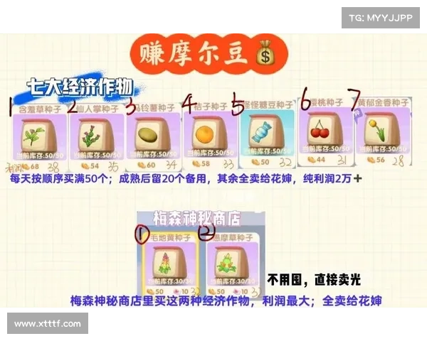 高效充电技巧全面解析教你正确为摩尔庄园机器延长寿命