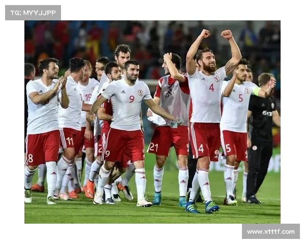 土耳其对格鲁吉亚比赛策略分析及其背后战术思考