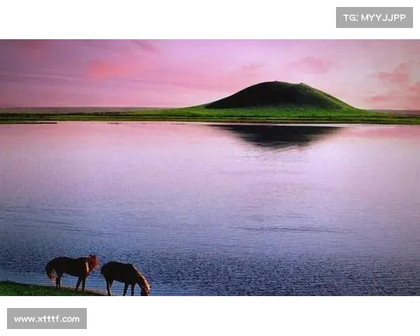 探秘葡萄牙足球队名背后的历史趣闻与地域文化传说故事精彩纷呈录